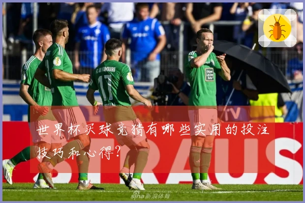 世界杯买球竞猜有哪些实用的投注技巧和心得？