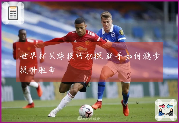 世界杯买球技巧初探 新手如何稳步提升胜率