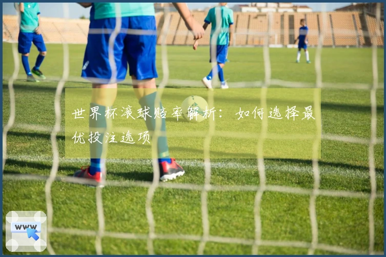 世界杯滚球赔率解析：如何选择最优投注选项