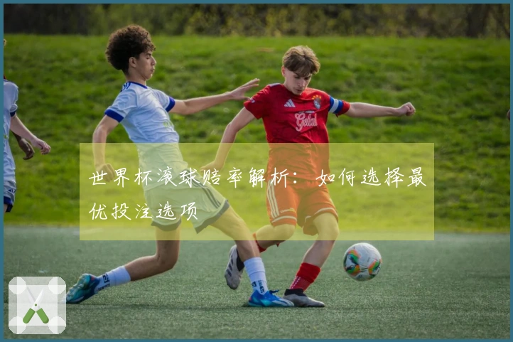 世界杯滚球赔率解析：如何选择最优投注选项