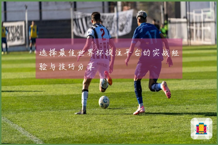 选择最佳世界杯投注平台的实战经验与技巧分享