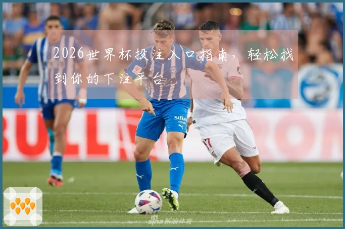 2026世界杯投注入口指南，轻松找到你的下注平台