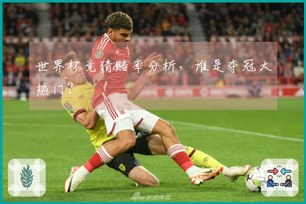 世界杯竞猜赔率分析，谁是夺冠大热门？